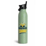 Premium Stainless Steel Insulated Water Bottle