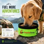 On the Go Pet Bowl - Image 3